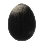 Egg Carbon Fiber