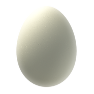 Egg 1