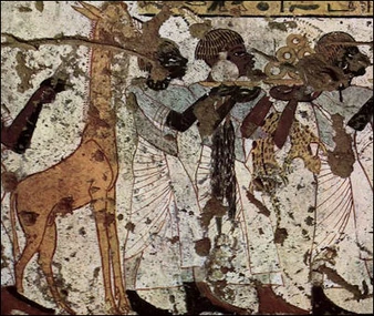 20120215-tarde if giraffe