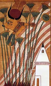 Thinis depicted in the .