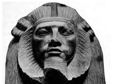 Apepi (greater)