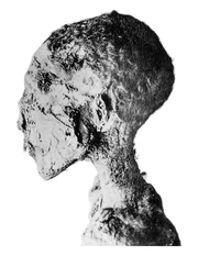 Mummyhead of Siptah (Smith 1912).