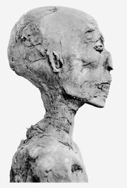Ramesses IV Mummy