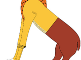 Ammut