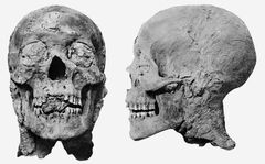 Amenhotep III Mummy