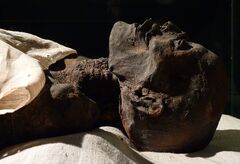 Ramses I Mummy