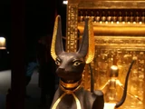 Anubis