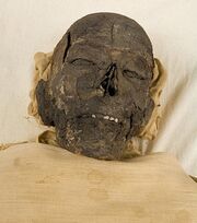 Ramesses IX Mummy