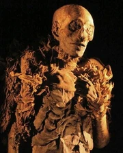KV60A, mummy of Hatshepsut.