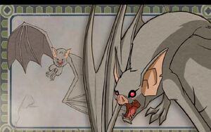 Egyxos Albino Bats 002.jpg