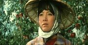 Sachiko Hidari