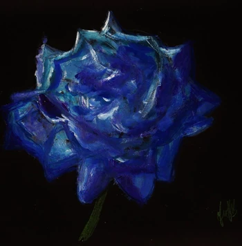 Winterrose ©Yvonne Bentley
