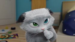 Comot Gallery Agent Ali Wiki Fandom