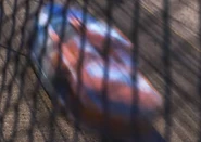 Speedy corre en el Autódromo Cañón del Cobre.