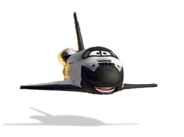 Roger fly