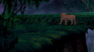 Lion-king-disneyscreencaps.com-7395