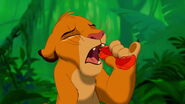 Lion-king-disneyscreencaps.com-5551