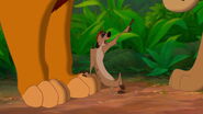 Lion-king-disneyscreencaps.com-6690