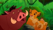 Lion-king-disneyscreencaps.com-5285