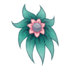 Kwiat Shy Nenuphar 6