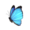 Laxulis Butterfly (bait)