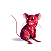 Rubinowa mysz
