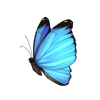 Lazurytowy motyl