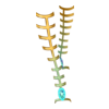 SPARTANKI SPARTAN PLASMA 13