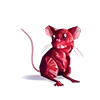 Souris en Rubis