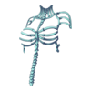 Top skeleton witch 12