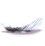 Pióro.png