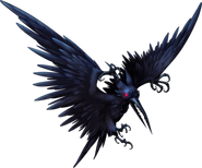 Pterocorvus dorosly
