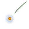 KwiatekSpringBohemian