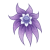 Kwiat Shy Nenuphar 2