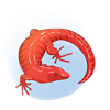 Red Lizard (food)