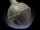 Antique Bell.png