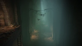 ER Subterranean Shunning-Grounds