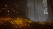 Abyssal Woods