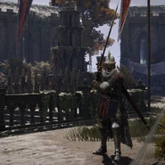 Raya Lucaria Soldier (Greatsword)