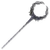 Thiollier's Hidden Needle
