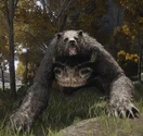 Runebear