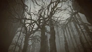 Abyssal Woods