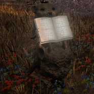 Imp Rise puzzle in Limveld