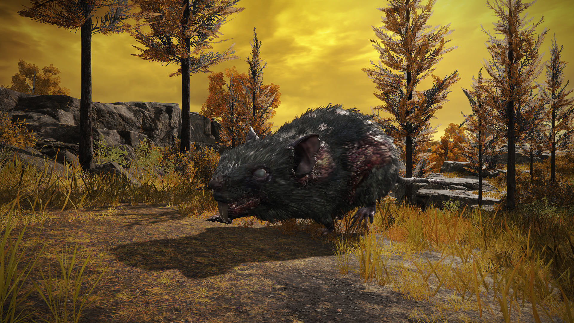 Giant Rat  Elden Ring Wiki