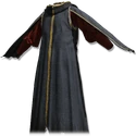 Juvenile Scholar Robe