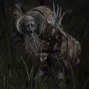 Old Albus at the Village of the Albinaurics