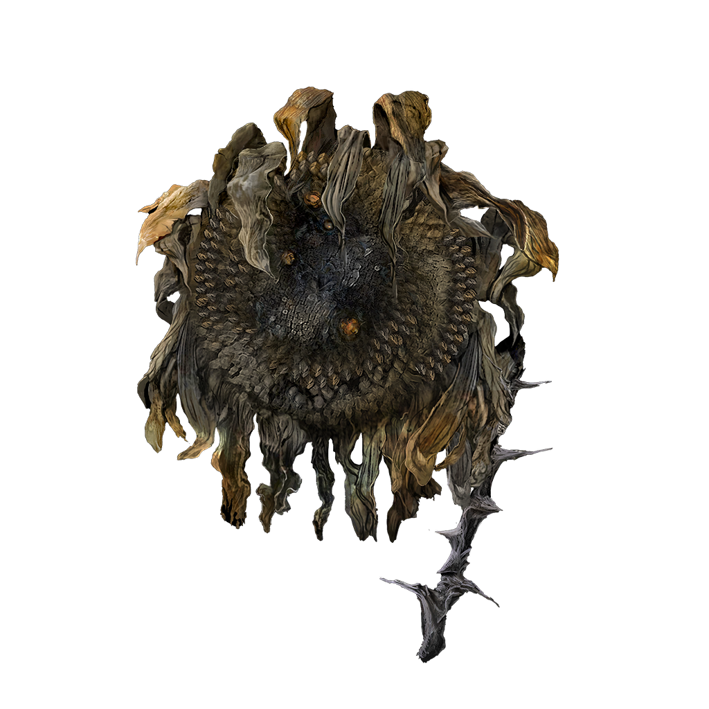 Shadow Sunflower | Elden Ring Wiki | Fandom