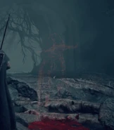 Rogier's bloodstain reveals he was Death Blighted at Stormveil Castle