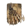 ER Icon Spell Beast Claw