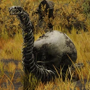 ER Enemy Skeletal Snail.png (1.47 MB) Snails with shells resembling skulls.